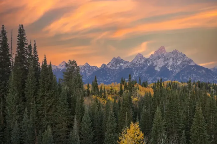 Framed Print : Golden aspen trees and Teton Range in early morning, Grand Teton National Park, Wyoming