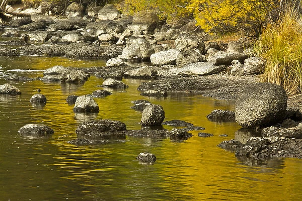 golden reflections, Dillon Falls area, Deschutes River, Descutes National Forest