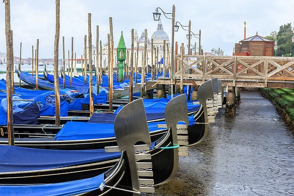 Gondola lineup. Venice. Italy