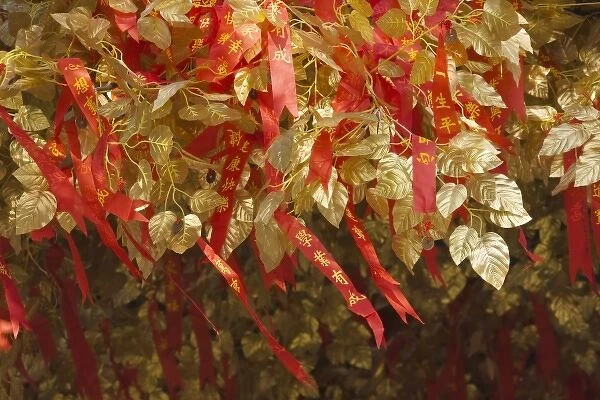 Good wish tree decorated with red ribbons and golden leaves, Nanjing, Jiangsu, China