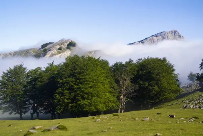 Framed Print : Gorbea Natural Park. Lekanda mount between the fog. Biscay province. Basque Country Framed Print : Gorbea Natural Park. Lekanda mount between the fog. Biscay province. Basque Country