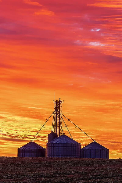 Grain bins silhouetted at sunrise Clay County, Illinois
