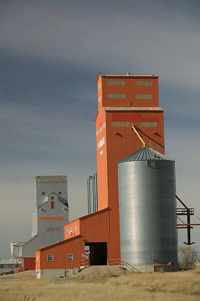 02. Canada, Saskatchewan, Morse: Grain Elevators