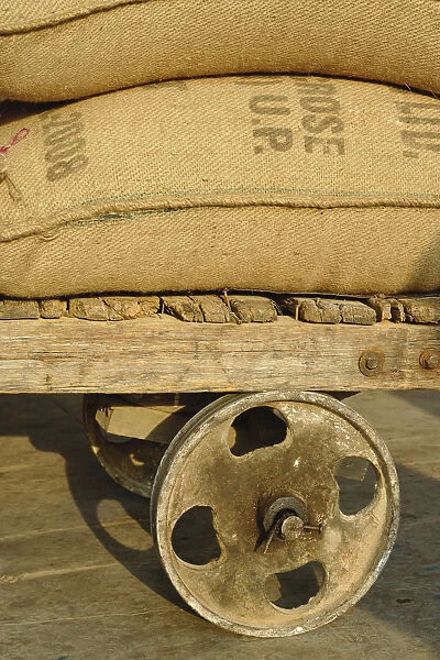 Grains in burlap sacks on primitive cart, train station, Udaipur, India