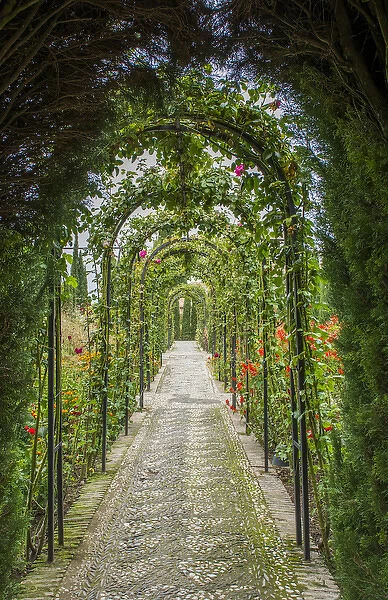 Granada Spain Alhambra famous hedges of Gardens of the Generalife and wonderful green arches