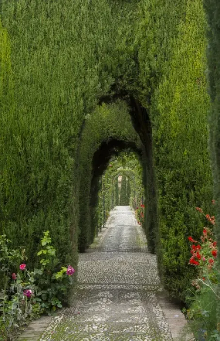 Framed Print : Granada Spain Alhambra famous hedges of Gardens of the Generalife and wonderful green arches Framed Print : Granada Spain Alhambra famous hedges of Gardens of the Generalife and wonderful green arches