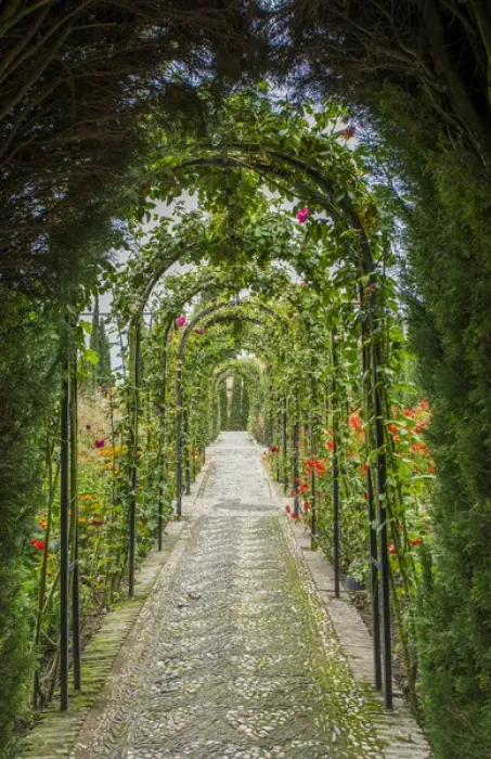 Framed Print : Granada Spain Alhambra famous hedges of Gardens of the Generalife and wonderful green arches Framed Print : Granada Spain Alhambra famous hedges of Gardens of the Generalife and wonderful green arches