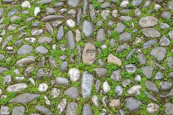 Granada, Spain. Ancient stone walkway with moss