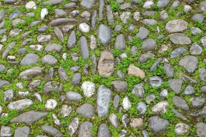 Framed Print : Granada, Spain. Ancient stone walkway with moss