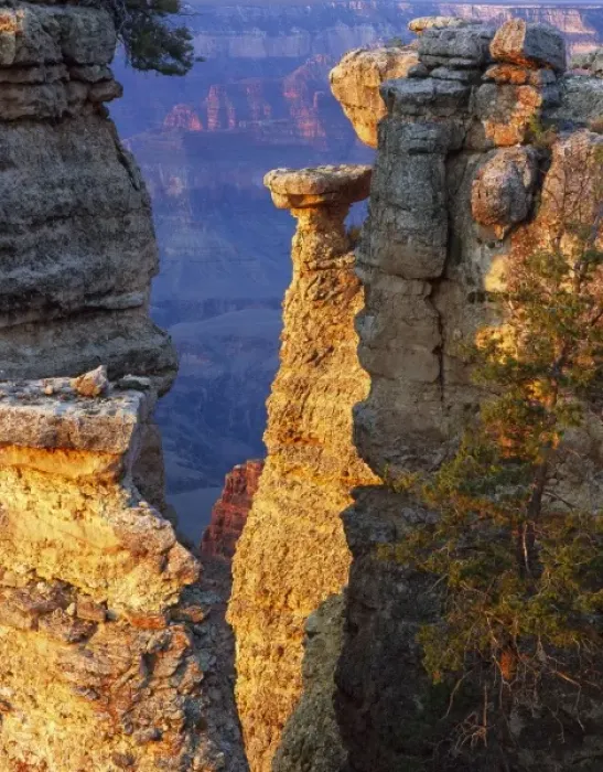 Framed Print : Grand Canyon National Park, Arizona. USA. Pillars of Kaibab Limestone on rim of Grand Framed Print : Grand Canyon National Park, Arizona. USA. Pillars of Kaibab Limestone on rim of Grand