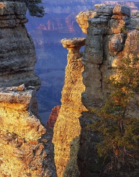 Grand Canyon National Park, Arizona. USA. Pillars of Kaibab Limestone on rim of Grand