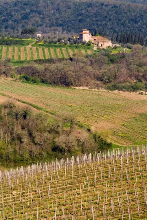 Framed Print : A grand stone winery stands above rolling vineyards in the Chianti area of Tuscany Framed Print : A grand stone winery stands above rolling vineyards in the Chianti area of Tuscany
