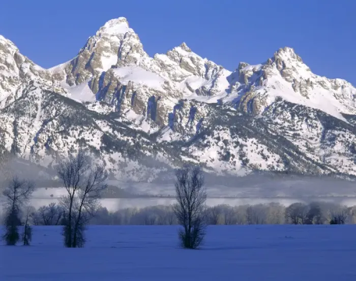 Framed Print : GRAND TETON NATIONAL PARK, WYOMING. USA. Fog & frosted trees below Grand Teton in winter Framed Print : GRAND TETON NATIONAL PARK, WYOMING. USA. Fog & frosted trees below Grand Teton in winter
