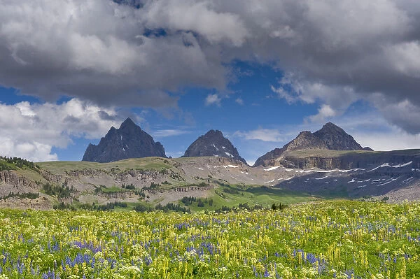 Grand Teton, South and Middle Tetons, Lupine and Wildflowers, Alaska Basin Shelf
