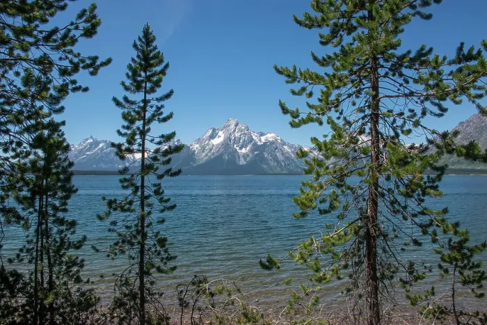Framed Print : Grand Tetons, Lakeshore Trail, Colter Bay, Grand Tetons National Park, Wyoming, USA