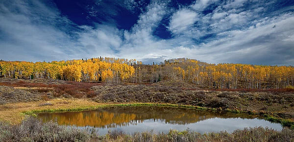 Grand view of aspen forest and a pond near the Continental Divide, Colorado, Walden, USA
