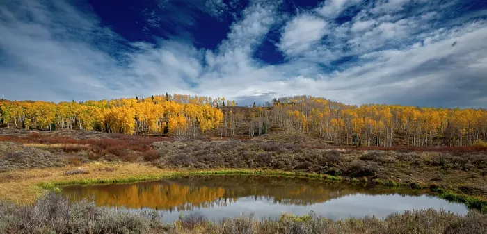 Framed Print : Grand view of aspen forest and a pond near the Continental Divide, Colorado, Walden, USA