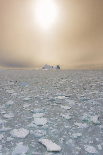 Grandidier, Antarctica. Sea Ice and the Antarctic Sun