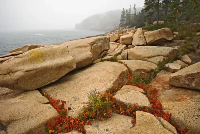 Framed Print : Granite bouders and distant Otter Cliff, among fog along coastline of Acadia National Park Framed Print : Granite bouders and distant Otter Cliff, among fog along coastline of Acadia National Park