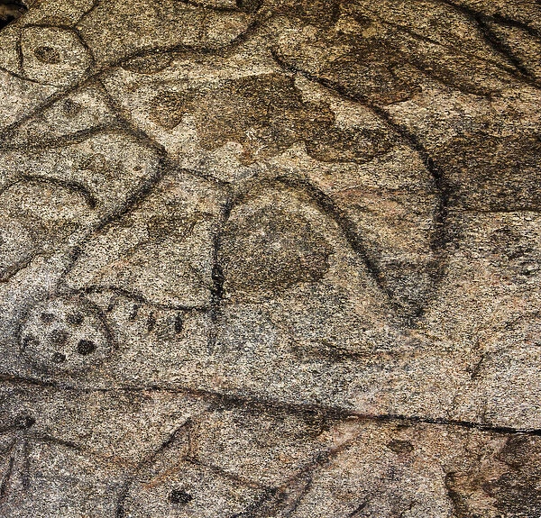 Granite boulder containing many Native American petroglyphs at Writing Rock State