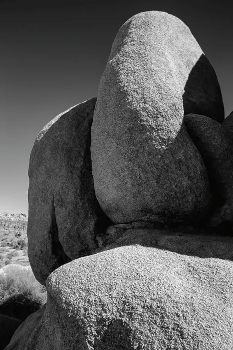 Framed Print : Granite Tree National Park, California