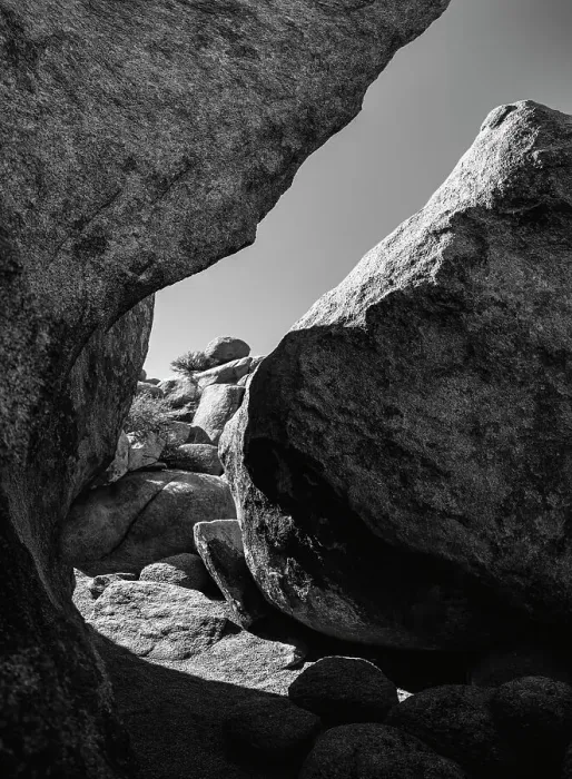 Framed Print : Granite Tree National Park, California Framed Print : Granite Tree National Park, California