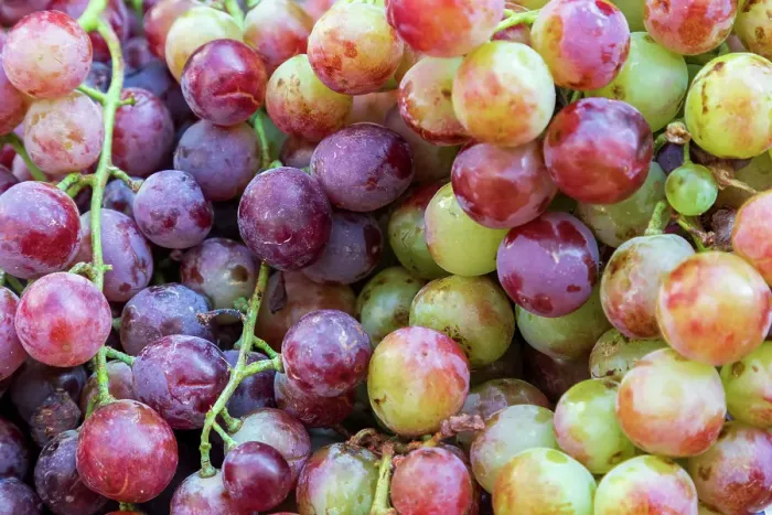 Framed Print : Grapes close-up