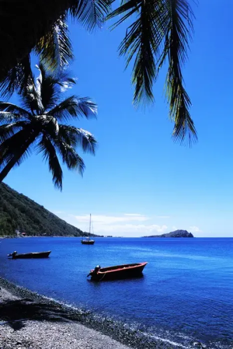 Framed Print : Graphic palms and boats in Soufrier, Dominica Framed Print : Graphic palms and boats in Soufrier, Dominica