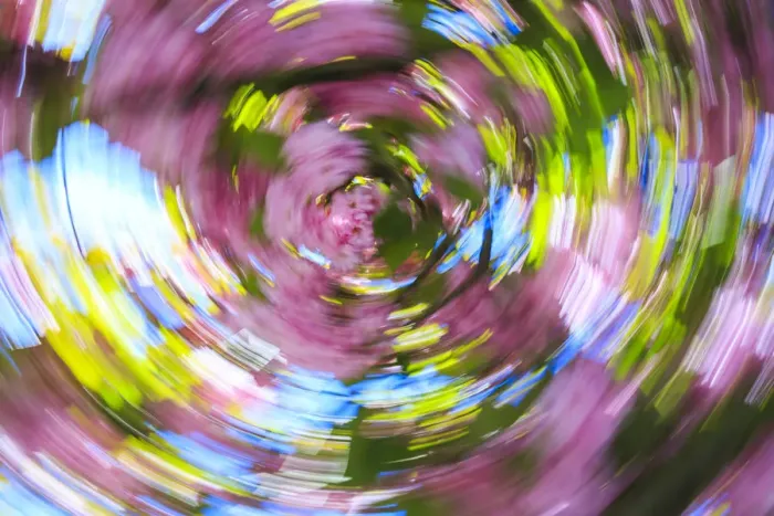 Framed Print : Graphic views combining slow shutter speed & motion, Ornamental Spring plum blossoms