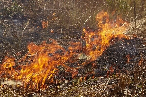 Grass fire, Kakadu National Park, Northern Territory, Australia