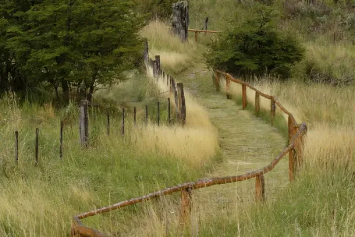 Framed Print : Grass lined pathway, Los Glaciares National Park, Argentina, South America, Patagonia