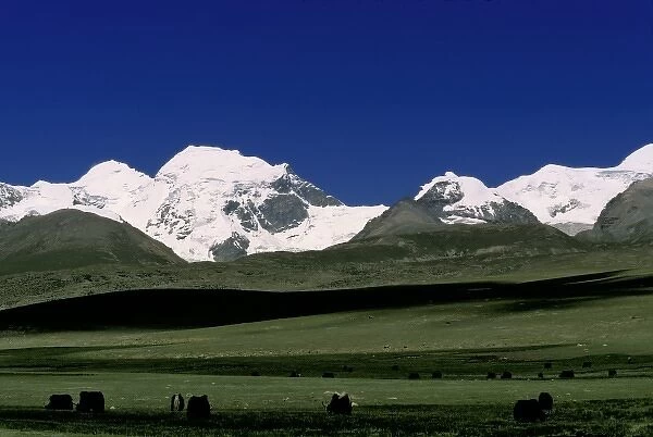 Grassland with Mt. Nian Qing, Tibet, China