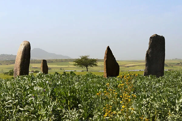 Grave marks at Dungur (Dungur Addi Kite) palace ruins, Aksum, Ethiopia