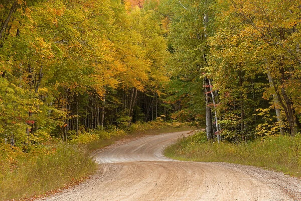 Gravel road through Hiawatha National Forest, Upper Peninsula of Michigan