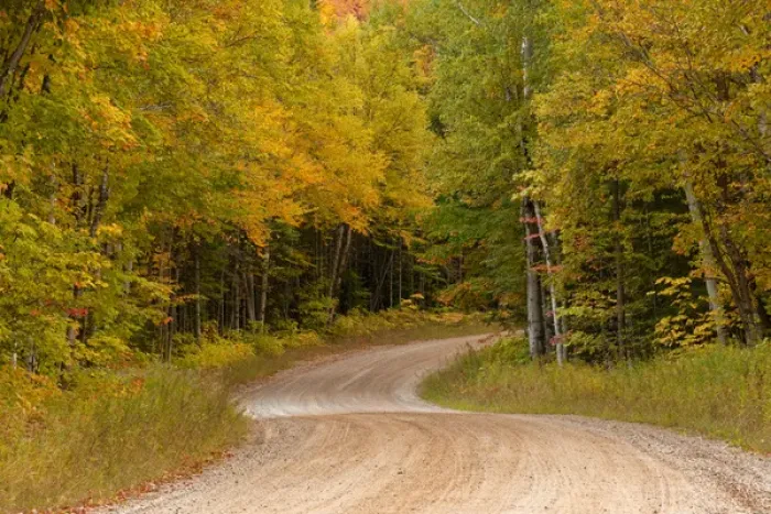 Framed Print : Gravel road through Hiawatha National Forest, Upper Peninsula of Michigan Framed Print : Gravel road through Hiawatha National Forest, Upper Peninsula of Michigan