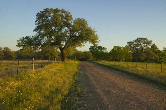 Framed Print : Gravel Road just to the Northwest of Cuero Texas Framed Print : Gravel Road just to the Northwest of Cuero Texas