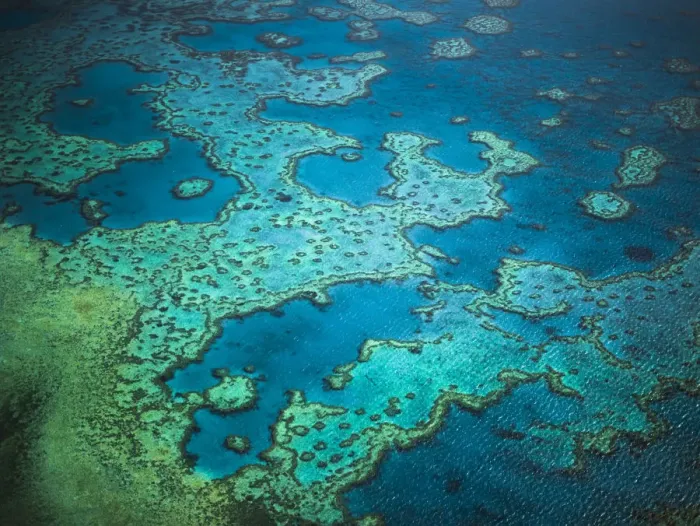 Framed Print : Great Barrier Reef, Queensland, Australia Framed Print : Great Barrier Reef, Queensland, Australia