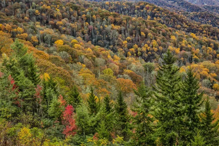 Framed Print : Great Smokey Mountains, Tennessee