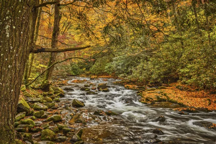 Framed Print : Great Smokey Mountains, Tennessee