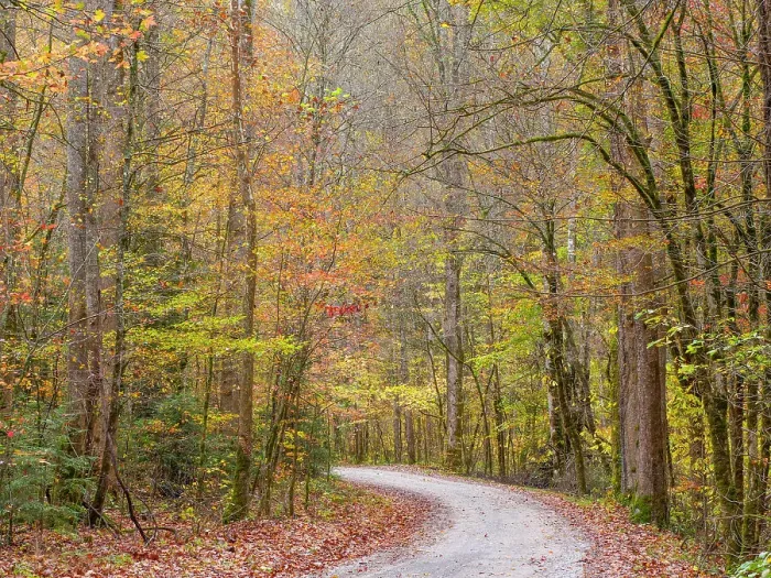 Framed Print : Great Smoky Mountains National Park, fall Framed Print : Great Smoky Mountains National Park, fall