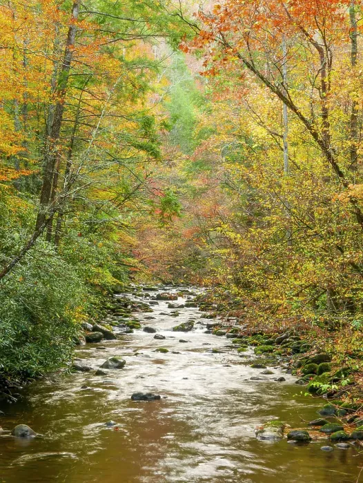 Framed Print : Great Smoky Mountains National Park, fall Framed Print : Great Smoky Mountains National Park, fall