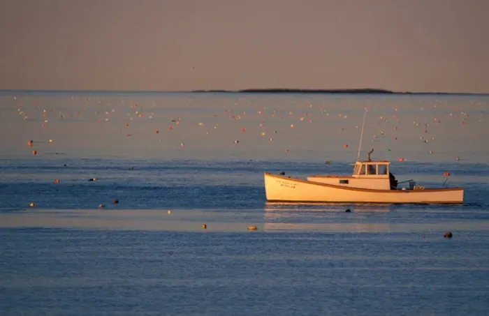 Framed Print : Great Wass Island, ME. A lobster boat near Black Duck Cove off the coast of Great