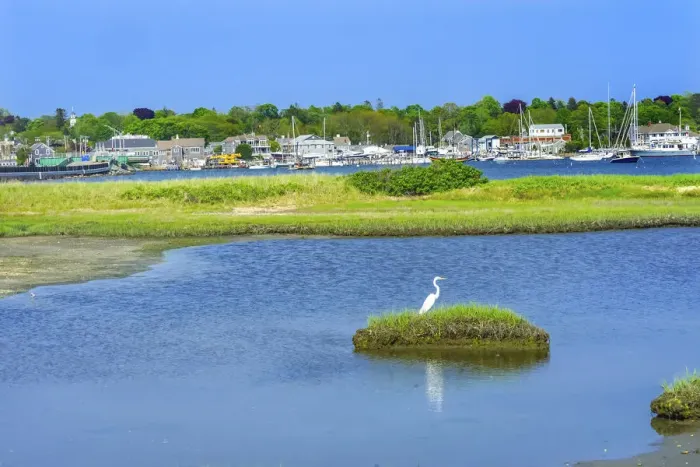 Framed Print : Great white egret marsh, Padanaram Village, Harbor Bridge, Buzzards Bay, Massachusetts, USA
