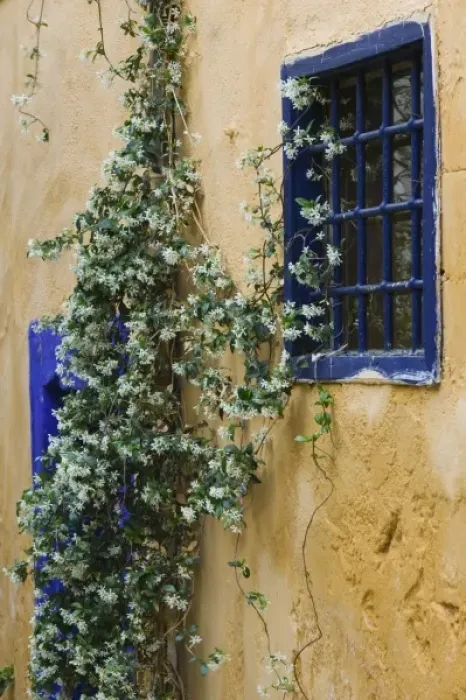 Framed Print : GREECE-CRETE-Hania Province-Hania: Splantzia Old Turkish Quarter- Wall Stillife Framed Print : GREECE-CRETE-Hania Province-Hania: Splantzia Old Turkish Quarter- Wall Stillife