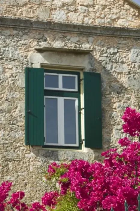 Framed Print : GREECE, CRETE, Hania Province, Vamos: Spring Flowers Detail