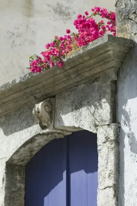 Framed Print : GREECE-CRETE-Hania Province-Vamos: Spring Flowers Detail Framed Print : GREECE-CRETE-Hania Province-Vamos: Spring Flowers Detail