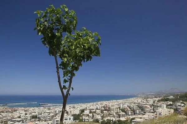 GREECE, CRETE, Rethymno Province, Rethymno: City View with Tree