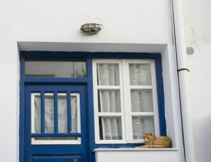 Framed Print : Greece, Mykonos. Orange tabby cat rests on ledge next to blue door and white window and curtains Framed Print : Greece, Mykonos. Orange tabby cat rests on ledge next to blue door and white window and curtains