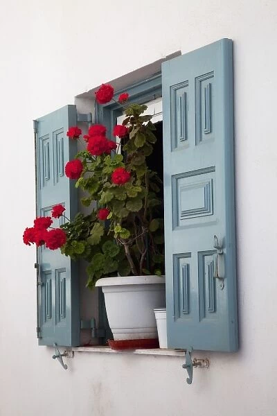 Greece, Mykonos, Shuttered window, Flower Pot with Geranium