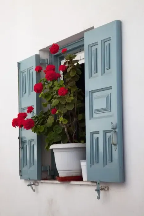 Framed Print : Greece, Mykonos, Shuttered window, Flower Pot with Geranium Framed Print : Greece, Mykonos, Shuttered window, Flower Pot with Geranium